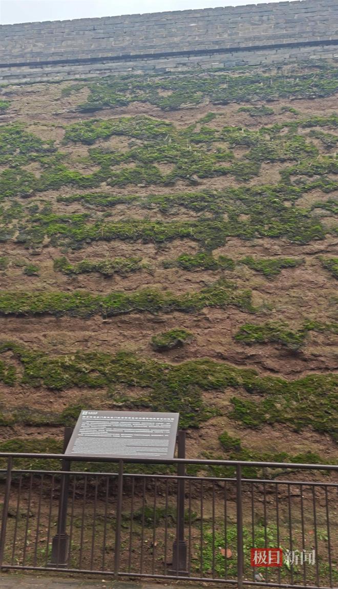 西安连续一个多月降雨遍地长蘑菇大雁塔受潮城墙布满青苔气象局解